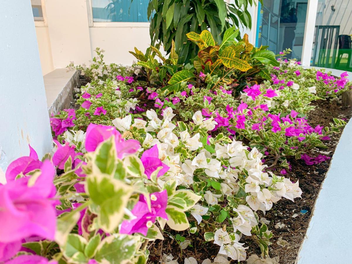 Hotel Abi Inn By Geh Suites Cartagena Eksteriør bilde